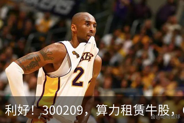 利好！300209，算力租赁牛股，Q3营收大增55倍
